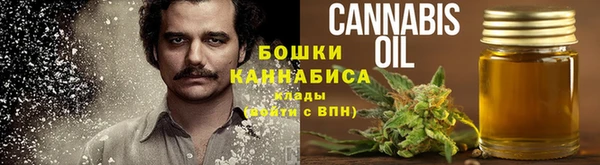 альфа пвп Горнозаводск
