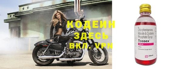 ПСИЛОЦИБИНОВЫЕ ГРИБЫ Горно-Алтайск