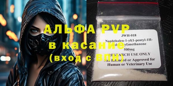 ПСИЛОЦИБИНОВЫЕ ГРИБЫ Горно-Алтайск