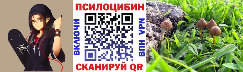 Галлюциногенные грибы Cubensis  маркетплейс официальный сайт  Урень 